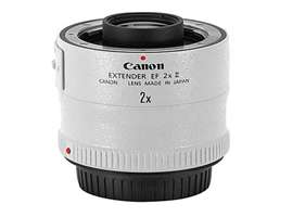 Product Review: A “300-600”mm Lens for Sharp Wildlife Shots
